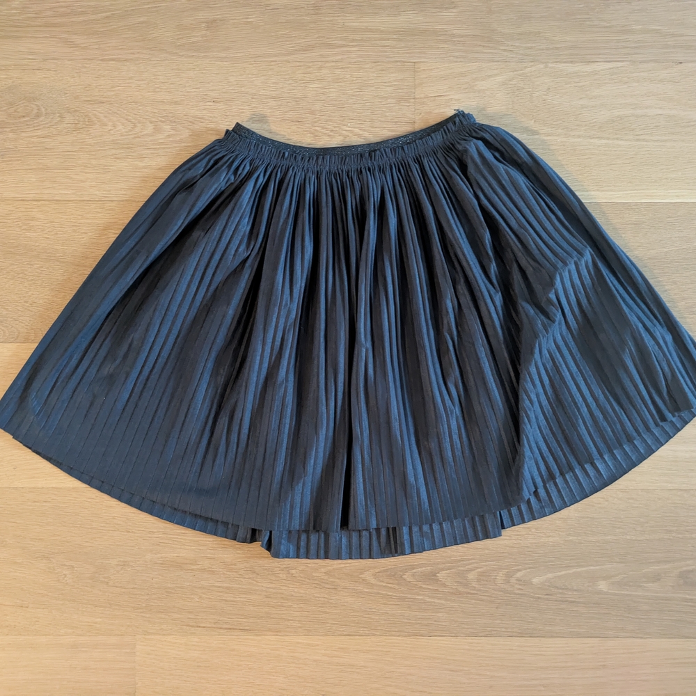Elegant Black Pleated Skirt